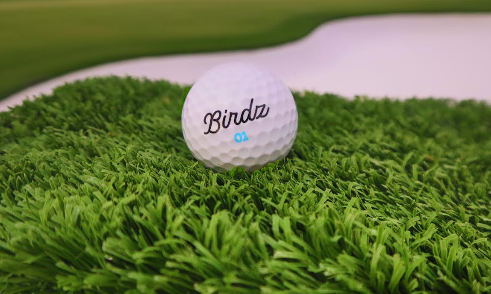 "The Birdy" - 1 Dozen Golf Balls - Birdz Golf - BIRDZ. ONLY.